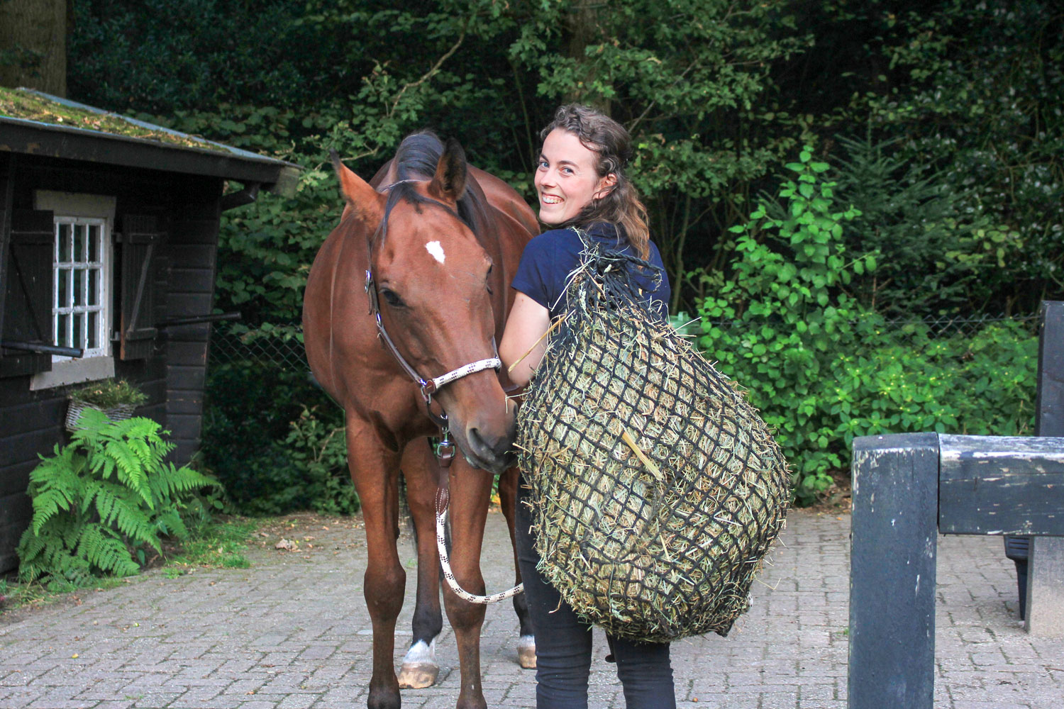 Voeding paard hooinet